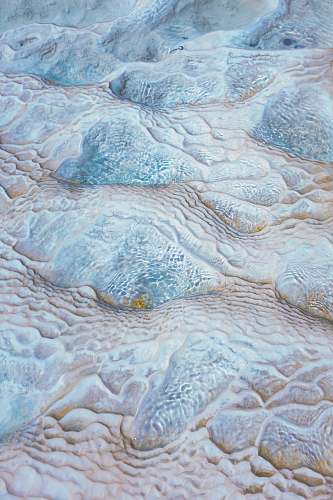 hierve el agua grey and brown thick animal skin méxico